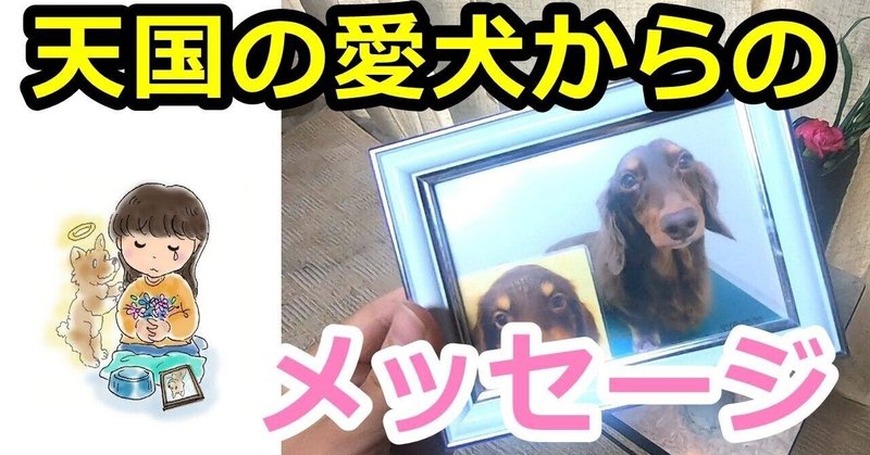 ペットロス 天国の愛犬からのメッセージ シンクロ現象について 犬の死後 時雨 Note ペットロス 天国の愛犬からのメッセージ シンクロ現象について 犬の死後 時雨 Note