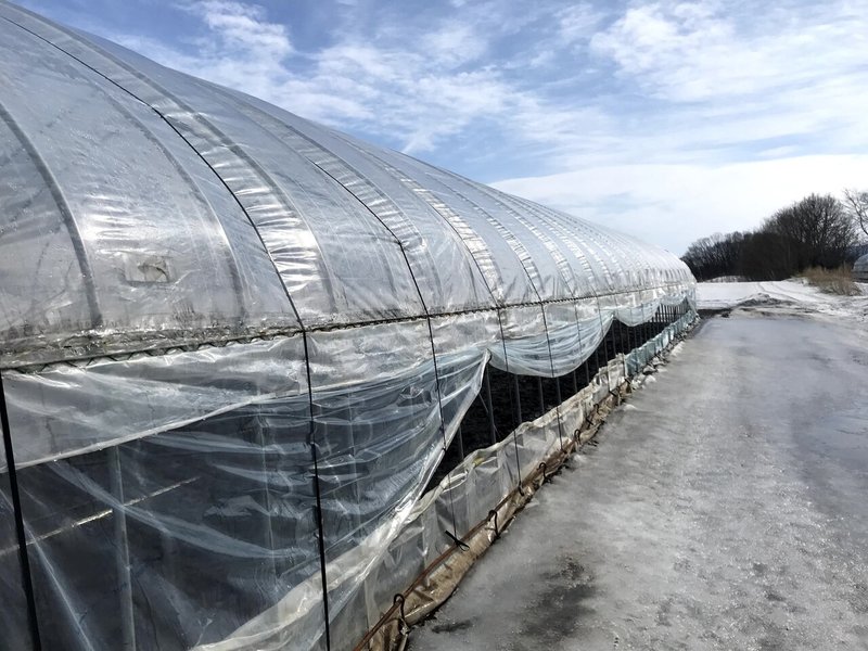 ビニールハウス内の雪は溶けたが 中はびちゃびちゃ 吉田拓実 Note ビニールハウス内の雪は溶けたが 中はびちゃびちゃ 吉田拓実 Note