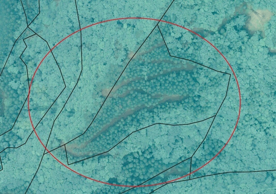 スクリーンショット 2021-03-17 101204