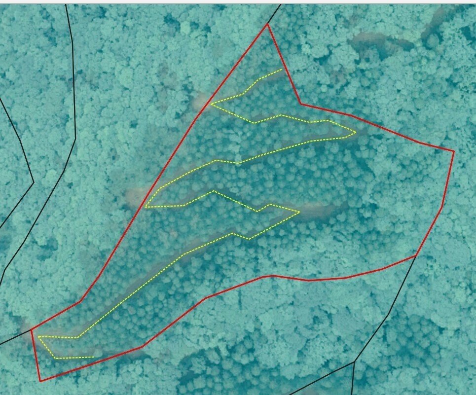 スクリーンショット 2021-03-17 111733