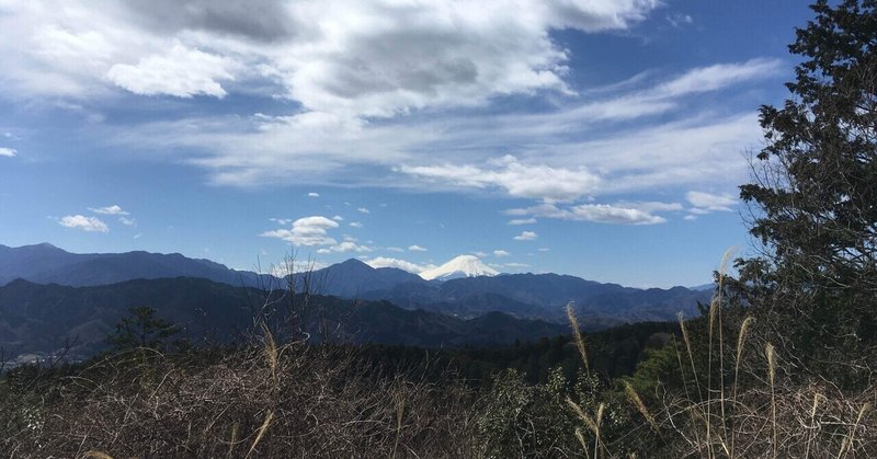 通算6回目（小学校の遠足を含む）の高尾山