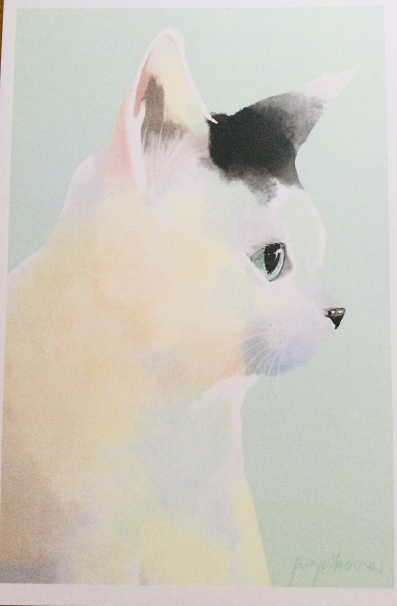 パピコクレちゃんの イラスト集 絵になったコタロウ その７ 白猫コタロウ 桜猫ミミ コタミミ Note