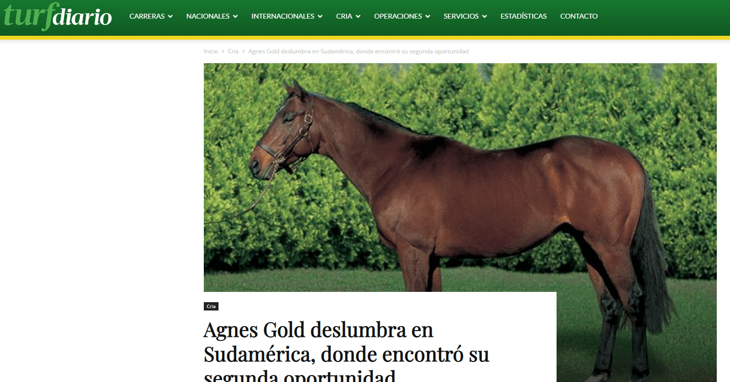 アグネスゴールド 2度目のチャンスを得た南米でまばゆい輝きを放つ 木下 昂也 Koya Kinoshita Note