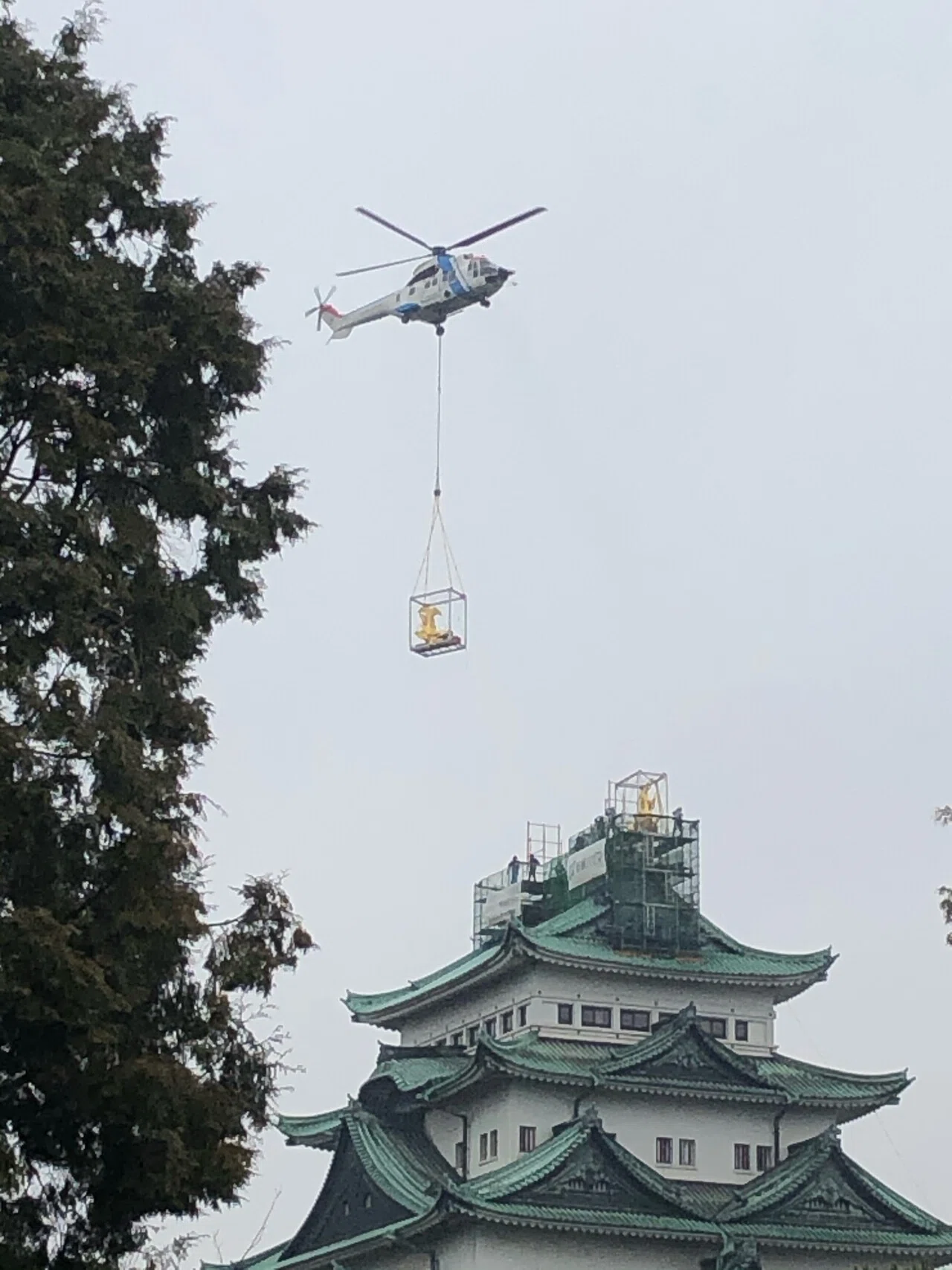 名古屋城金鯱（きんしゃち）展、3月20日から開始（～4月2日まで