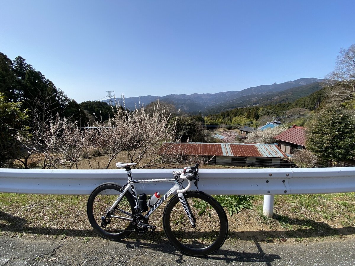 春爛漫の桃源郷へ行く162kmライド！｜西川正治