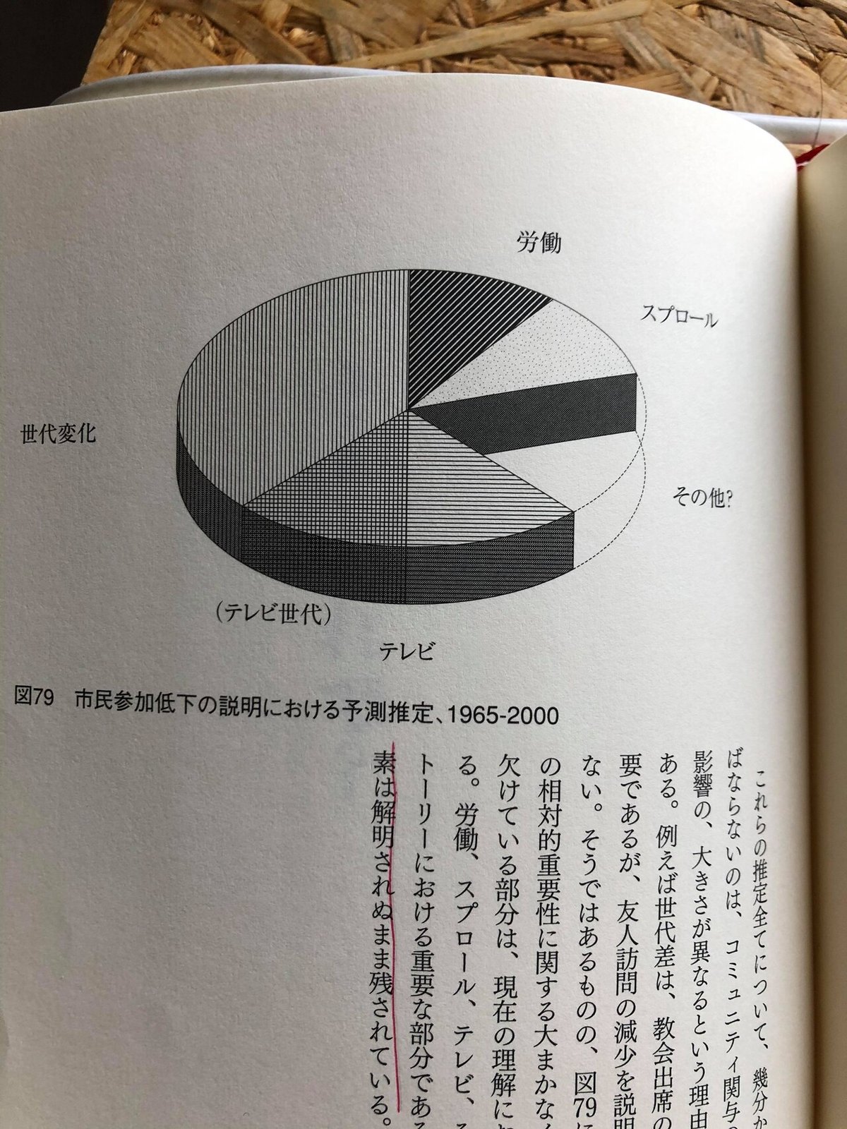 ソーシャルキャピタルから見る豊かな社会の形｜三井俊介 ソーシャルキャピタル系 本