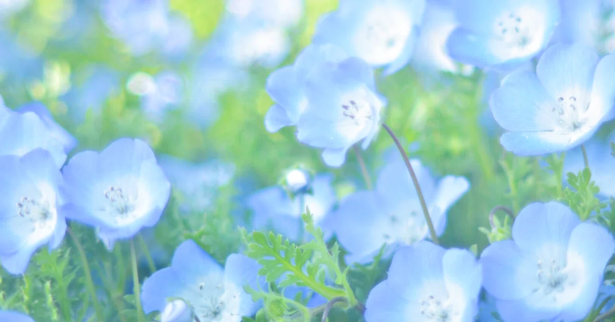 画像24