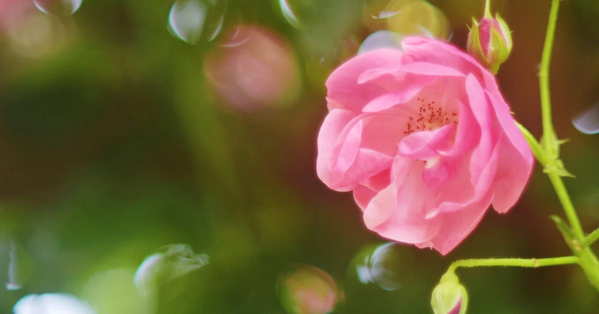 画像30