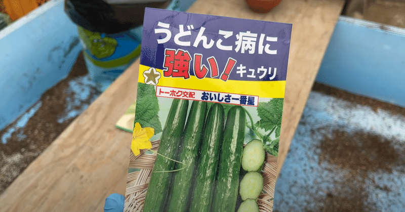 4月になる前に必見 きゅりの栽培について 井上寅雄農園 井上隆太朗 Note 4月になる前に必見 きゅりの栽培について 井上寅雄農園 井上隆太朗 Note