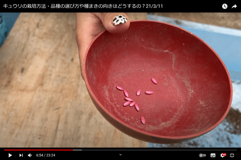 4月になる前に必見 きゅりの栽培について 井上寅雄農園 井上隆太朗 Note