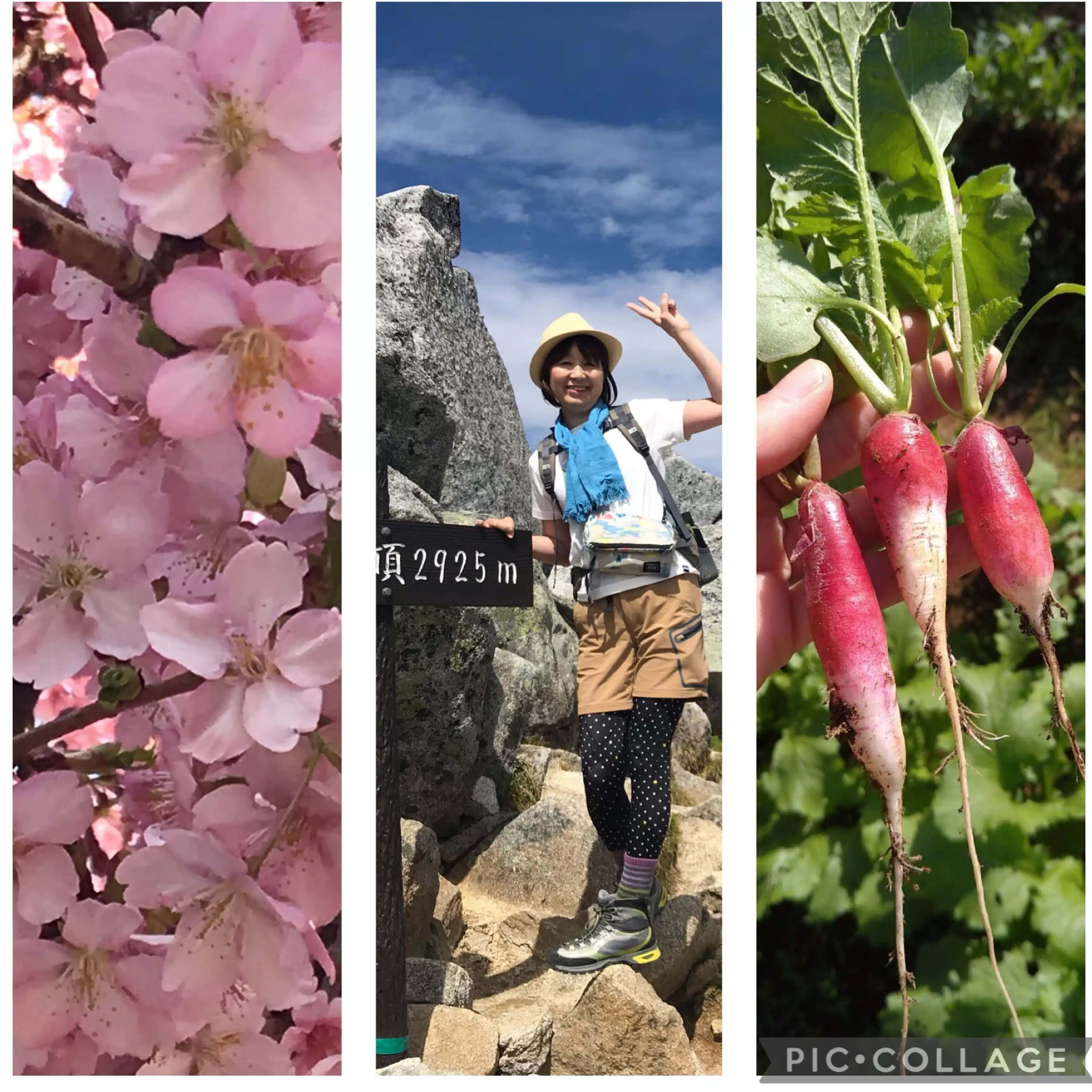 野菜と山と、時々猫