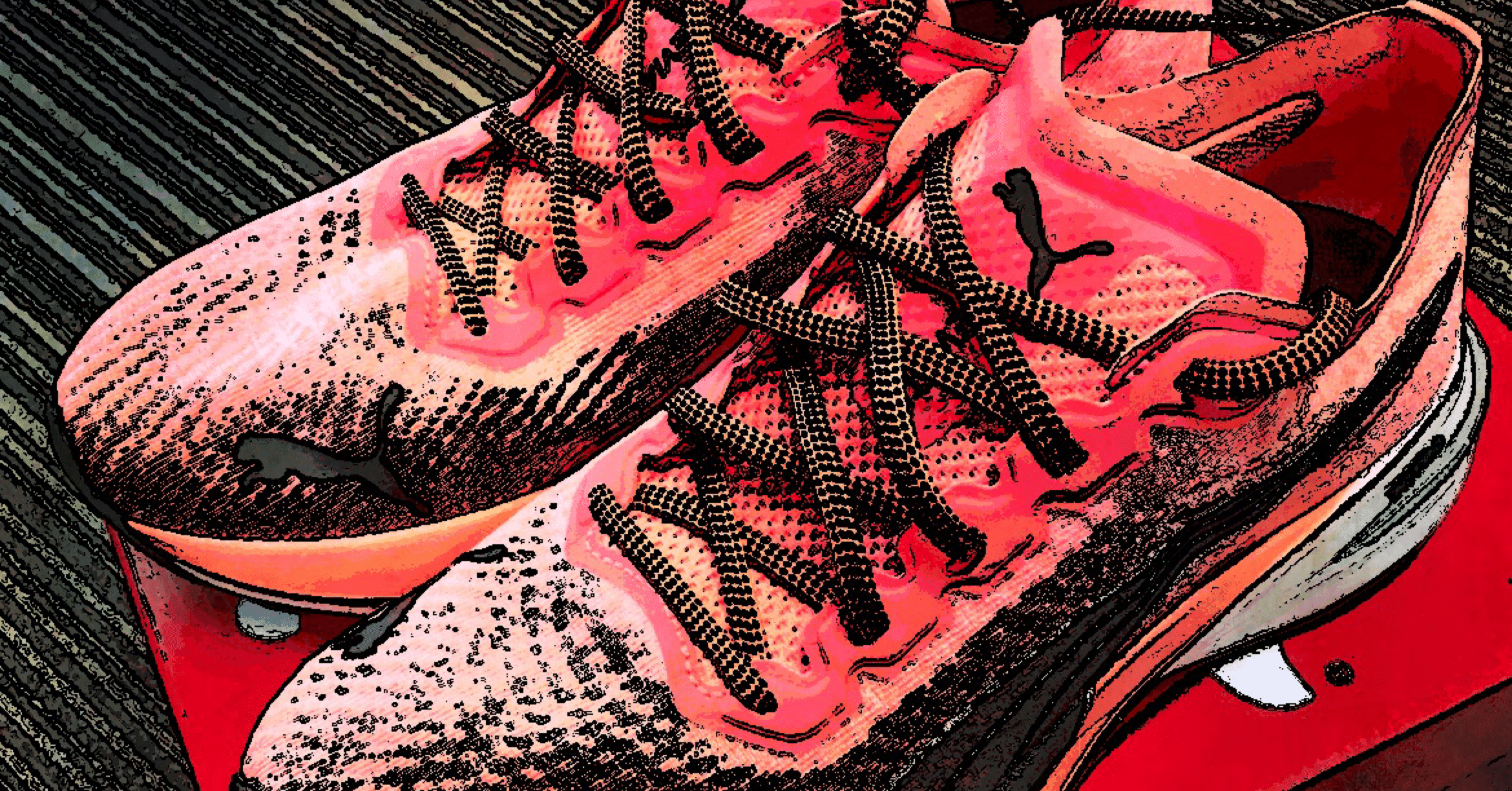 53072e5ea76ca385c7d9d6c2806d66