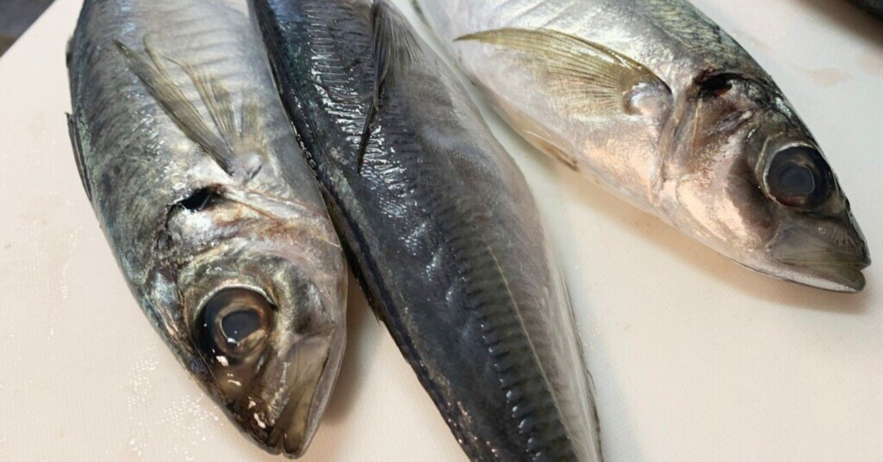 真鰺 の新着タグ記事一覧 Note つくる つながる とどける