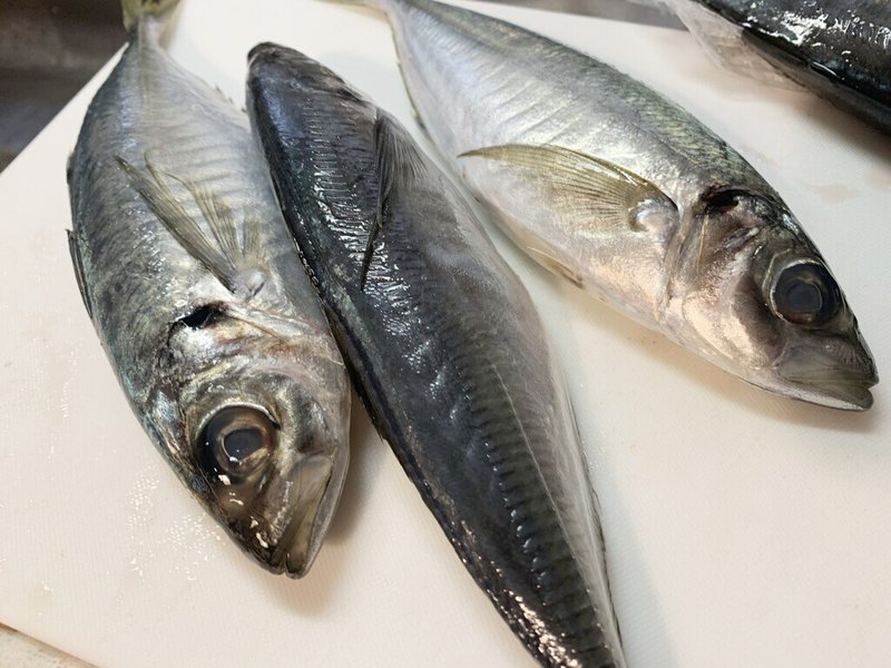 食べる魚コレクション005 マアジ おおたしじみ Note