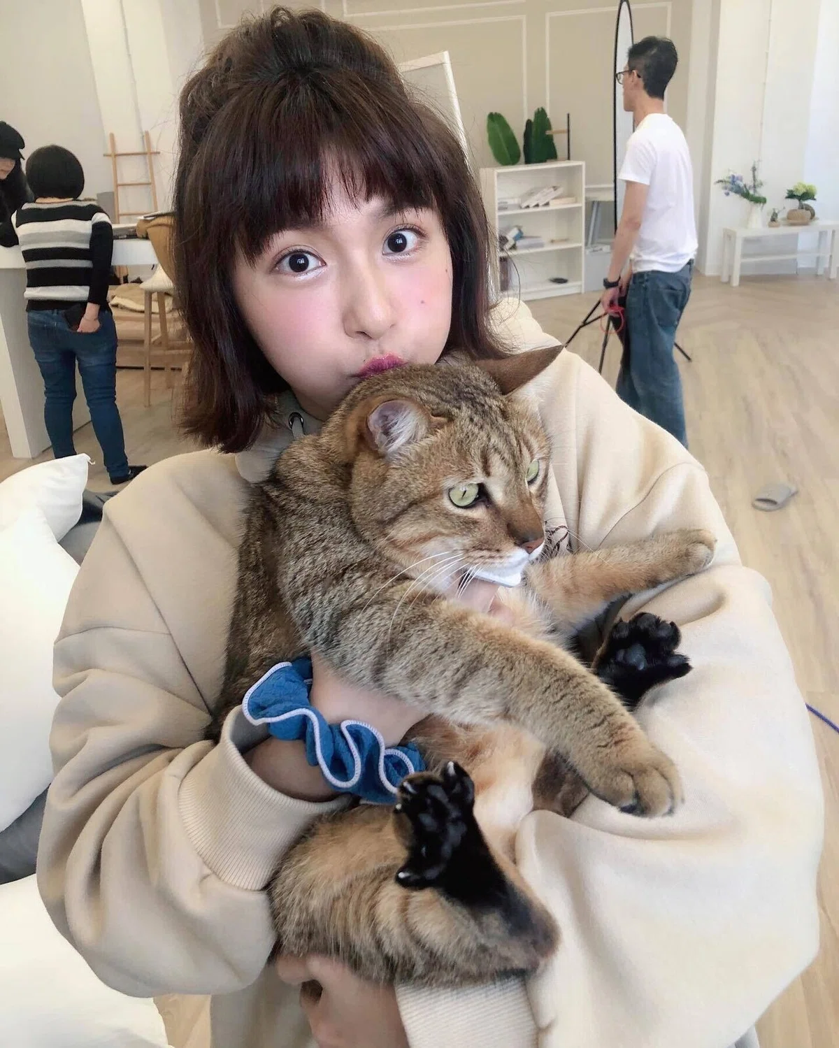 画像5