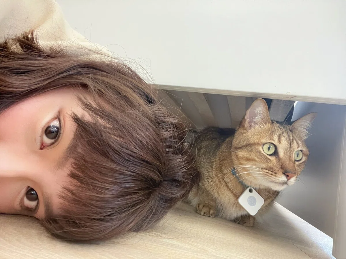 画像6