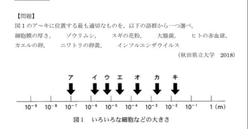 プチ演習問題 No 4 生物基礎 細胞や微細構造の大きさ 田中龍之介 生物科講師 Note プチ演習問題 No 4 生物基礎 細胞や微細構造の大きさ 田中龍之介 生物科講師 Note