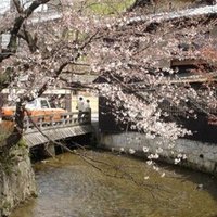 花様年華 タイトルの四字熟語は年齢と共にひとも変わる という意味 素晴らしい恋愛映画 Zelphis ゼルファイス Note 花様年華 タイトルの四字熟語は年齢と共にひとも変わる という意味 素晴らしい恋愛映画 Zelphis ゼルファイス Note