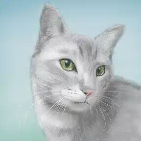 とうやん
