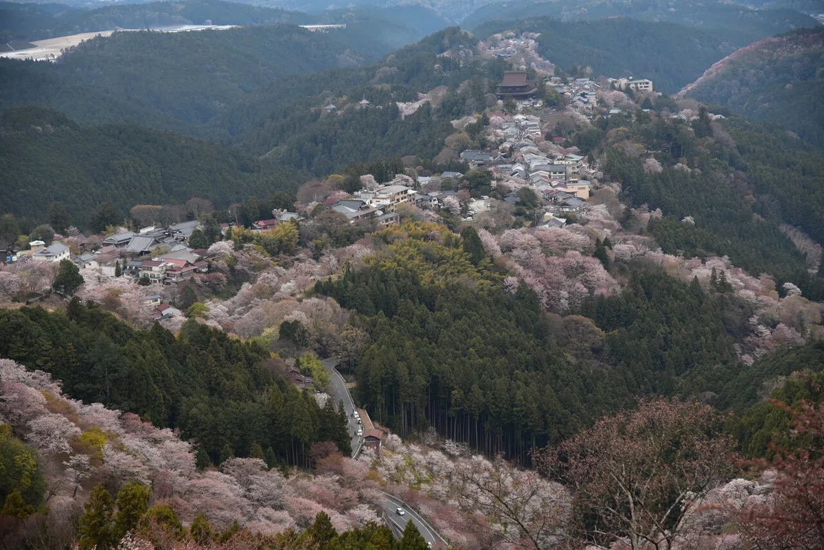 画像79