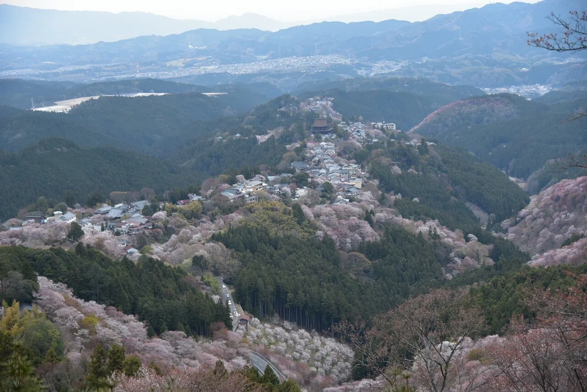 画像21