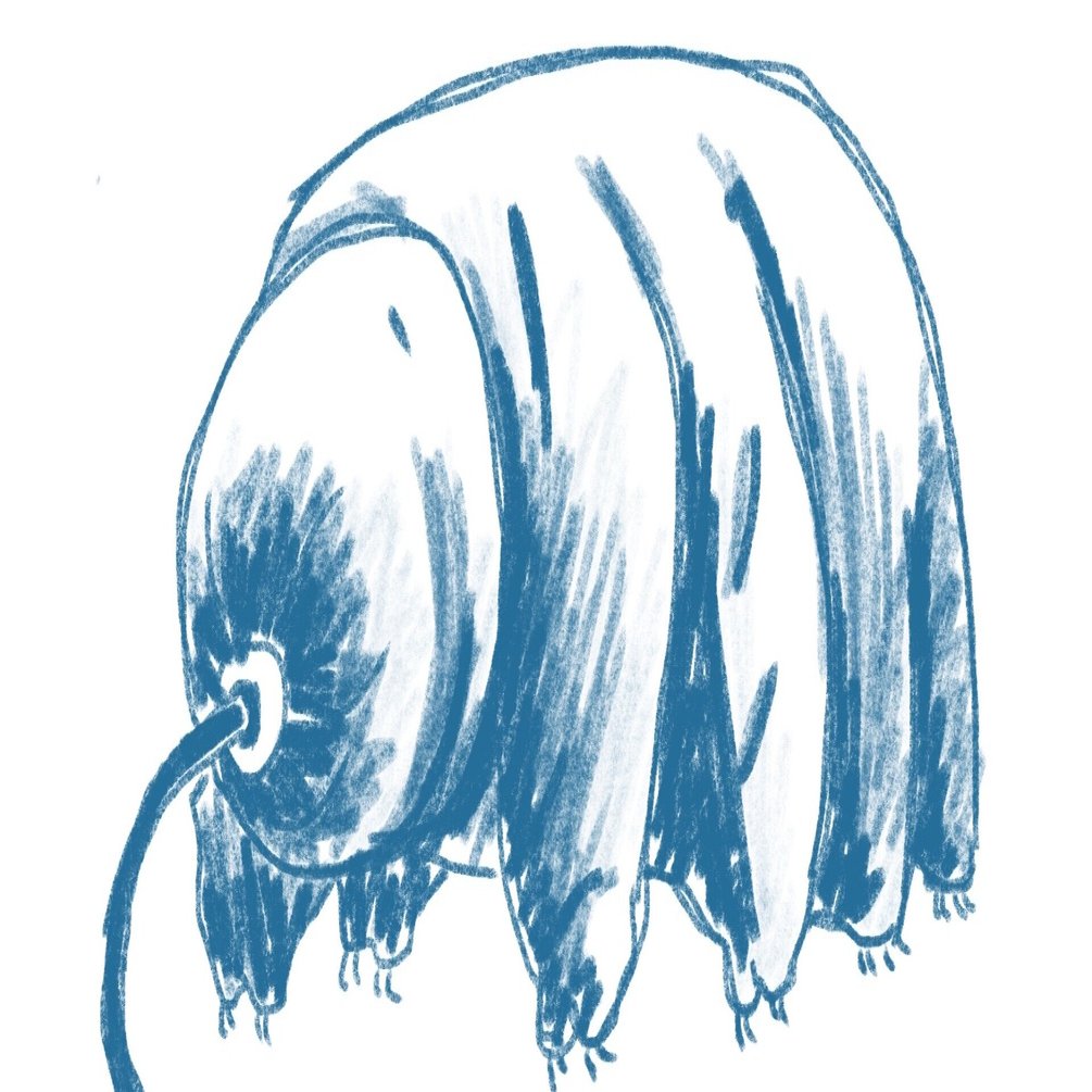 突然ですが私は 社会を知るたびにクマムシになりたくなる世界線 に生きています ヤミフ マシガナ Note