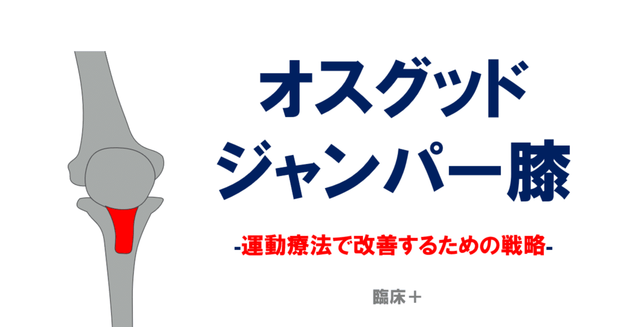 膝の痛み＞運動療法で改善するための戦略｜佐藤 康