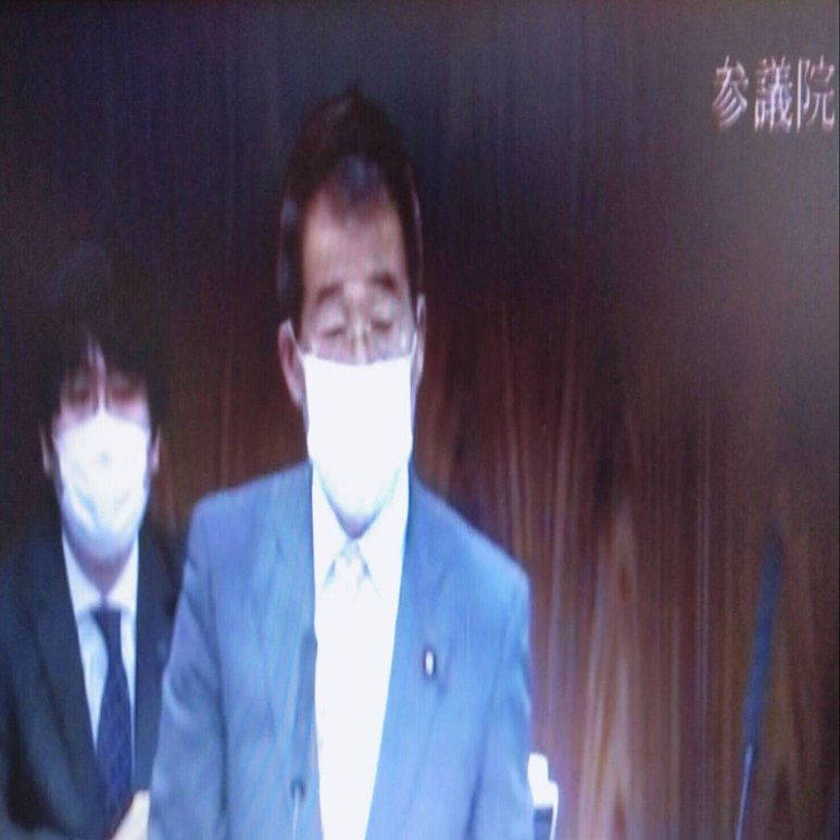 21年3月16日参議員法務委員会 真山勇一議員質疑 共同親権について 雷鳥風月 Note