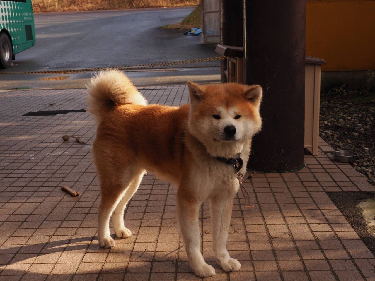 弟子は弟子の道を守らねばならぬ ことばも 実行も 先生の教えを 身に顕現 けんげん してなければならない 先人の教え これが本当の師弟です 師匠がどんなに大変であっても弟子の私がお守りする あきらのゆめらぼ 引き寄せの法則で２度成功 Note