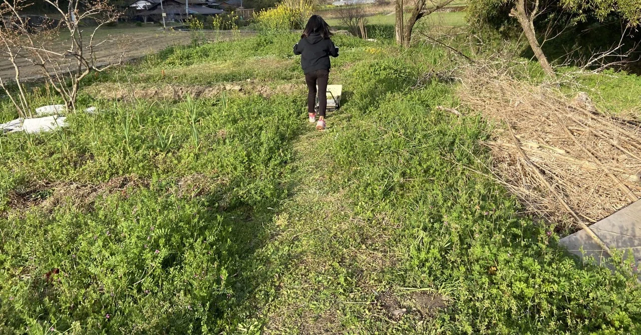 Vol 67 自然菜園２年目の私が買ってよかったもの 結論ー手動芝刈り機最高 ー ころのにわ 自然菜園 Note