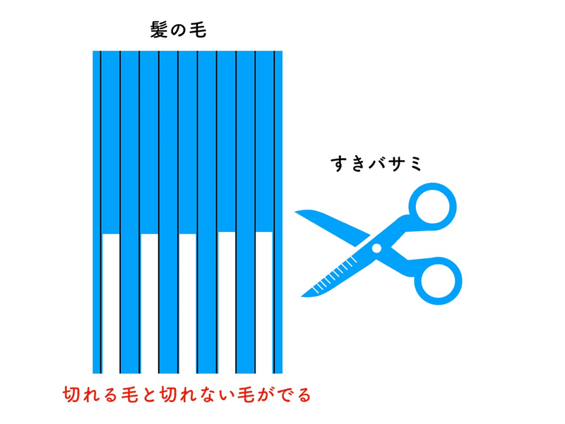 すきバサミは傷む Osasa0625 Note