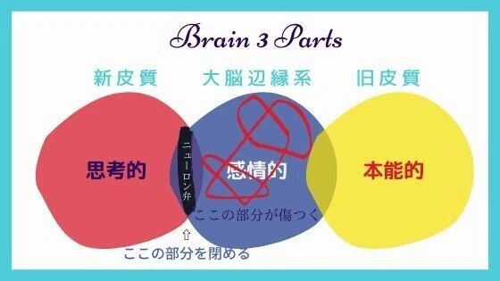 インナーチャイルドの悲しみが全て愛となる時|山本えみりの物語