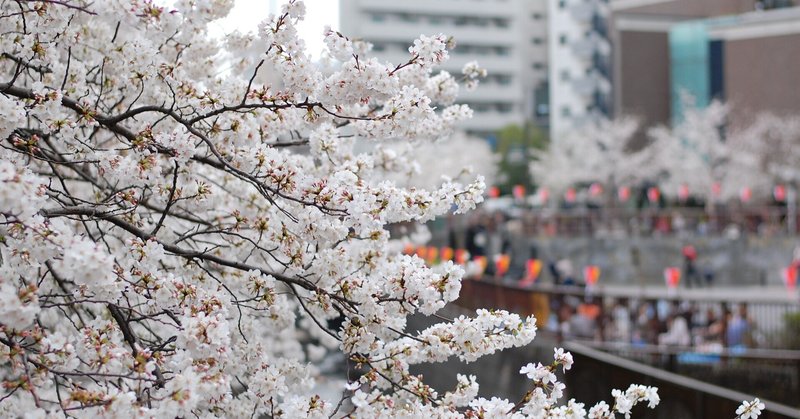中目黒のお花見の制限は難しい 回遊型お花見の制限 中目黒土産店 Note