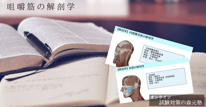 解剖学 図解 イラスト とゴロで簡単 咀嚼筋 咬筋 側頭筋 外側翼突筋 内側翼突筋 の覚え方 森元塾 国家試験対策 Note 解剖学 図解 イラスト とゴロで簡単 咀嚼筋 咬筋 側頭筋 外側翼突筋 内側翼突筋 の覚え方 森元塾 国家試験対策 Note