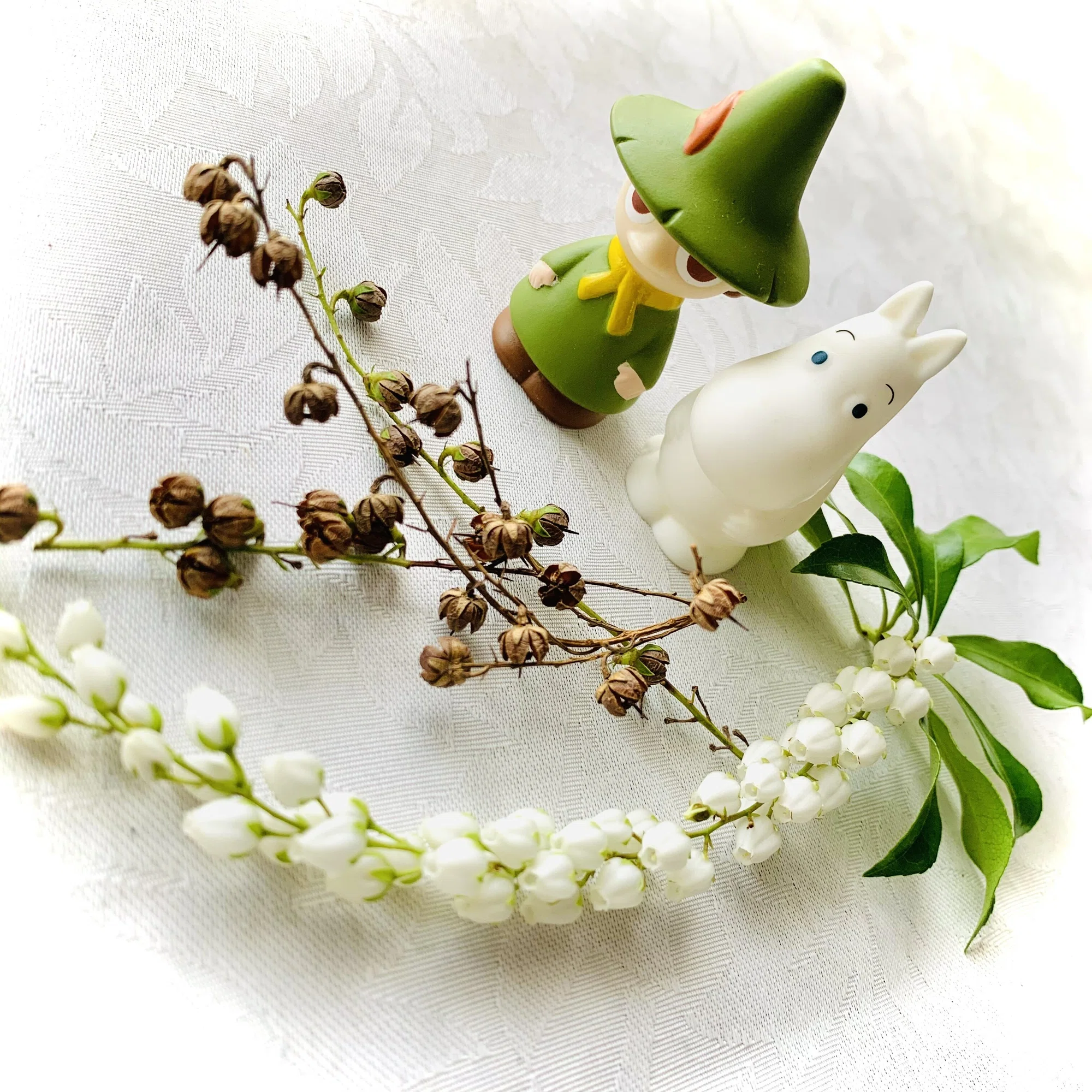 アセビの実です。かわいい木の実。でも毒があるんだって。（馬酔木の