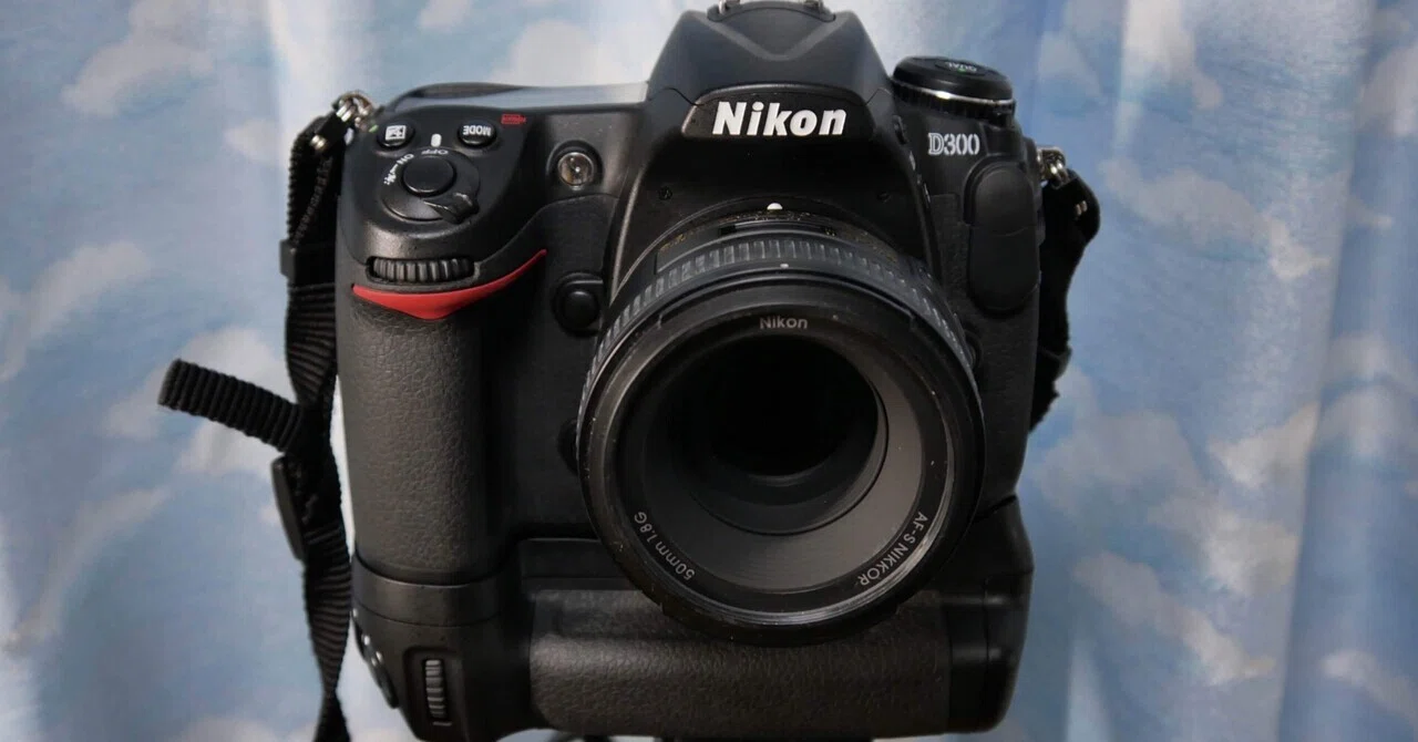 機材レビュー】Nikon D300｜鷺