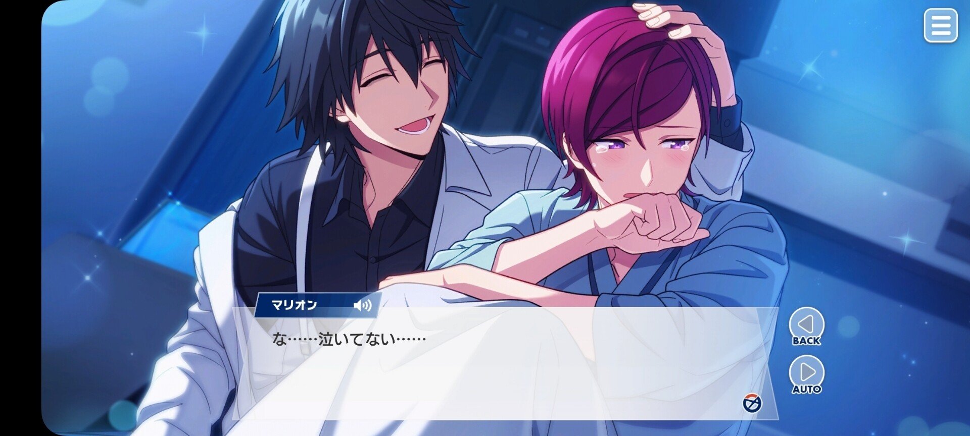 ブライス2体セットまたは、1体づつok ブライス2体セットまたは、1体づつok 【公式通販】