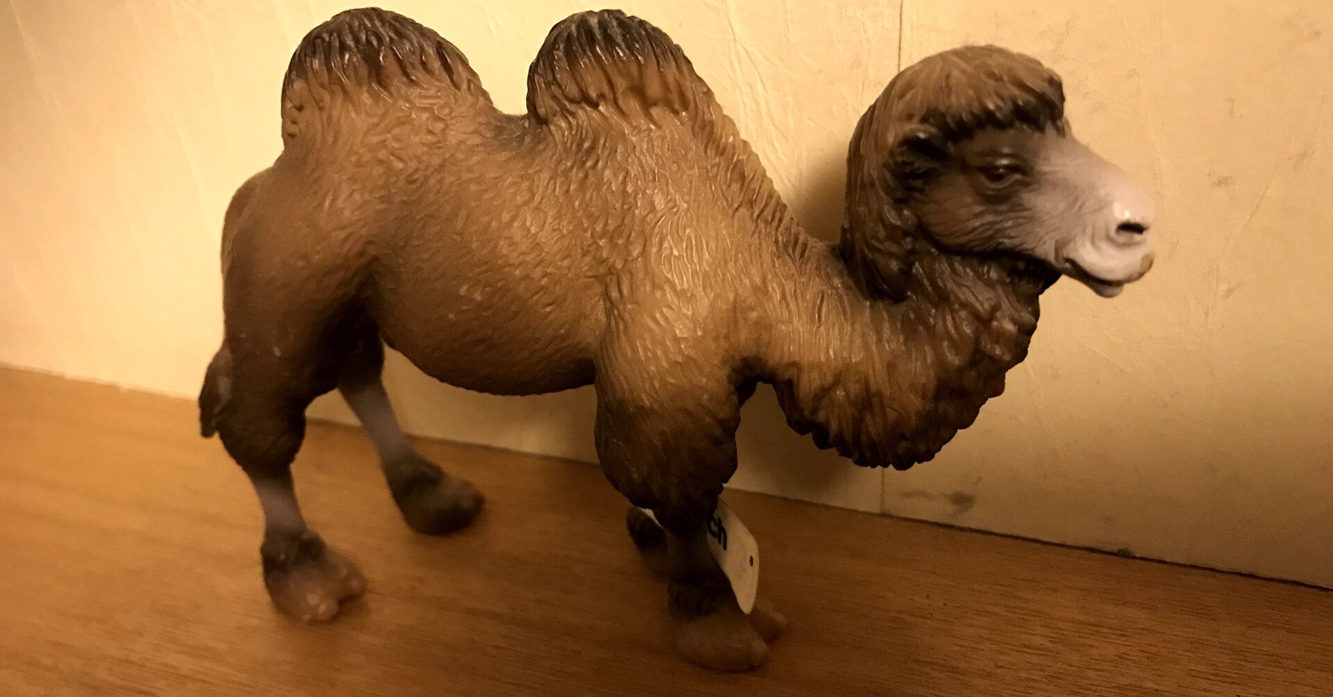 てめぇは ラクダ やくただわ Note