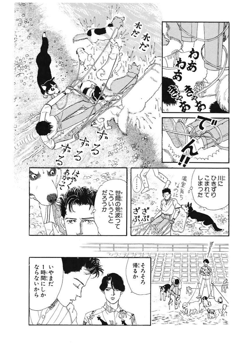 増田こうすけ 天才 増田こうすけ 天才
