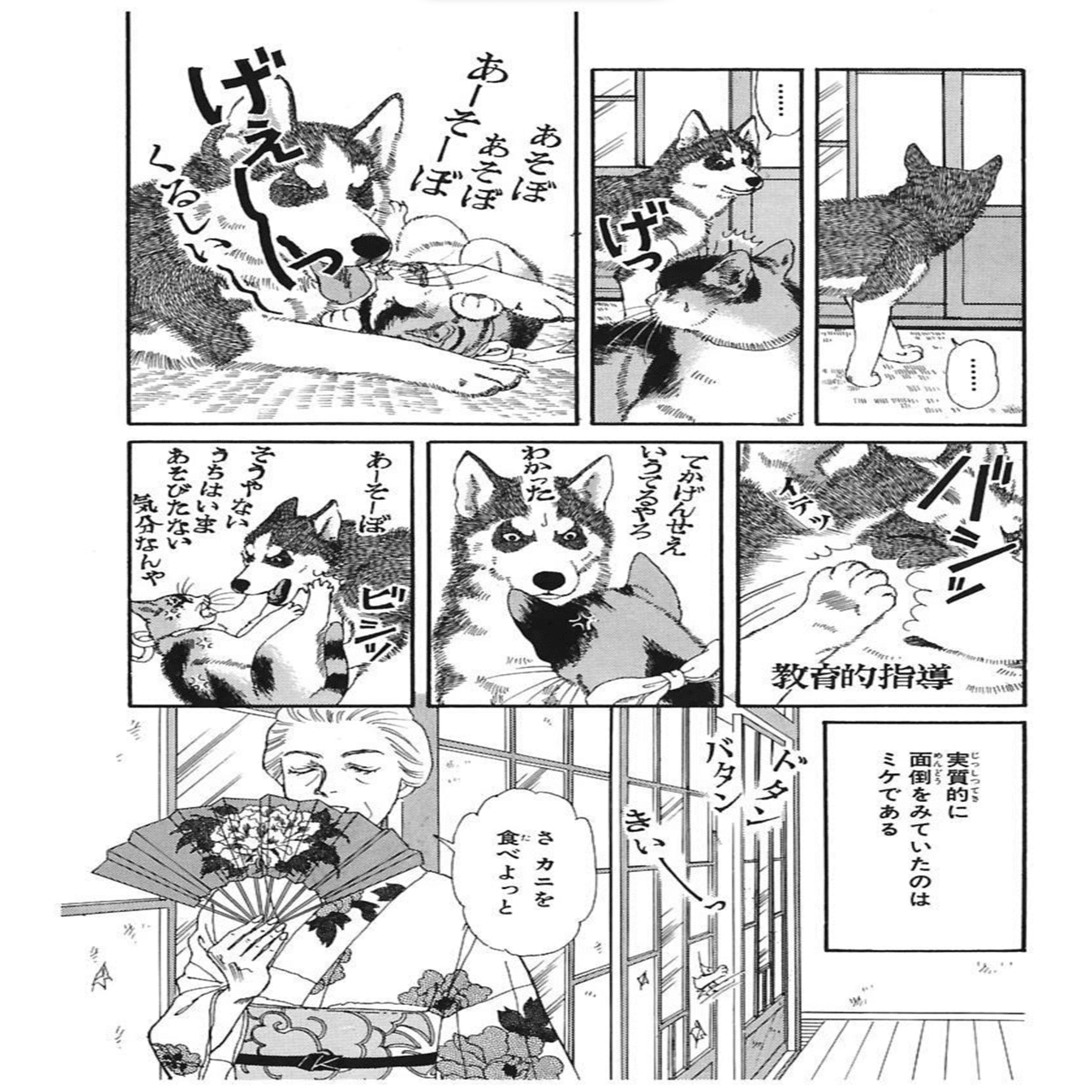 動物が死なないハッピー獣医漫画を読んだらやりたくなる4つのこと『動物のお医者さん』｜東京マンガレビュアーズ, image size:1280x1833