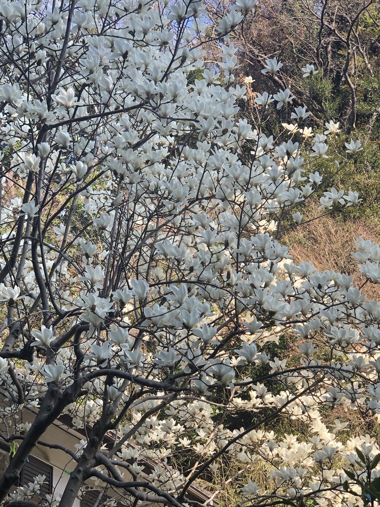 今日一番心が動いた言葉 今日1日を軌道にのせる ポジティブトリガー をつくろう この言葉を見て 私も ポジティブ トリガーを取り入るぞ という気持ちと そんな朝の時間を誰かにプレゼントするlive配信に挑 Me Like Planner 伊藤知子 多様な生き方が尊重され 誰 今日一番心が動いた言葉 今日1日を軌道にのせる ポジティブトリガー をつくろう この言葉を見て 私も ポジティブ トリガーを取り入るぞ という気持ちと そんな朝の時間を誰かにプレゼントするlive配信に挑 Me Like Planner 伊藤知子 多様な生き方が尊重され 誰