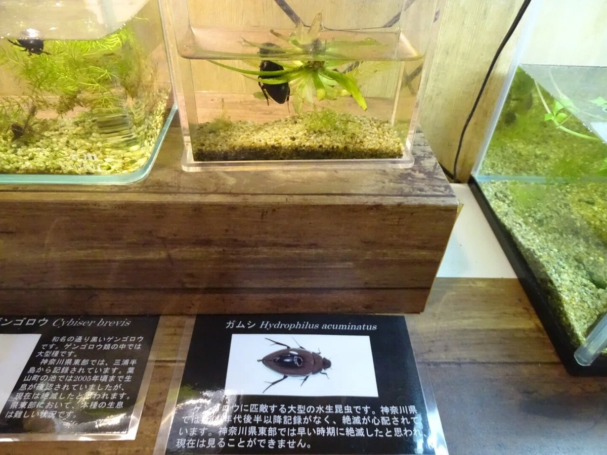 画像16