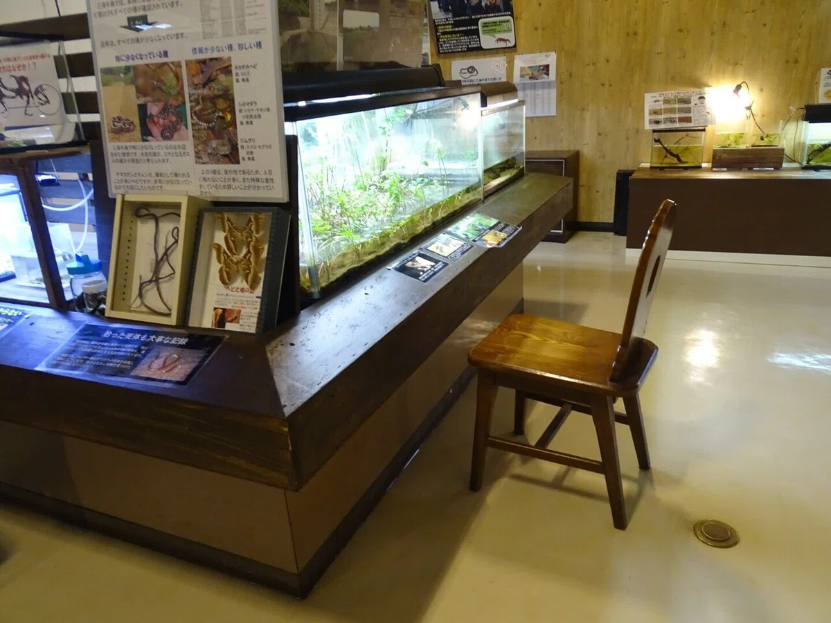 画像25
