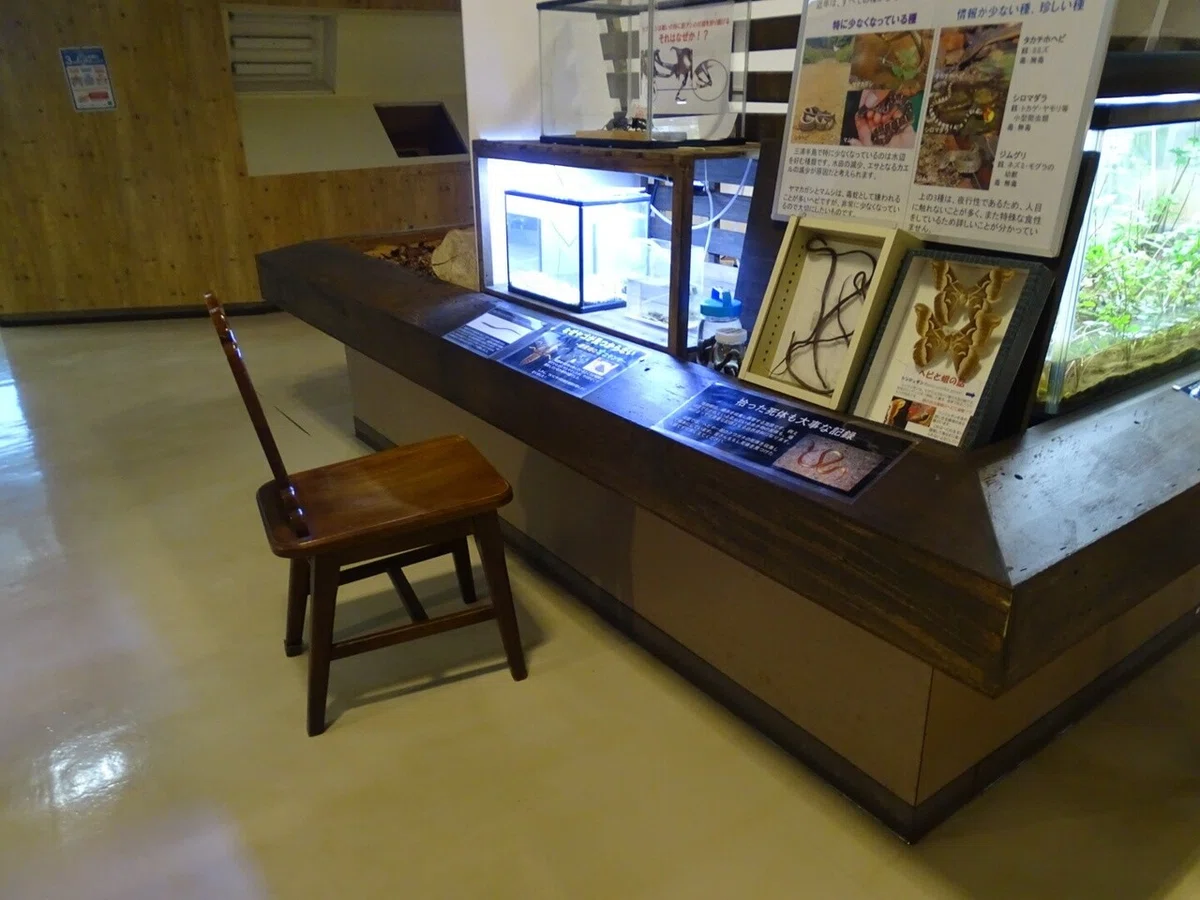 画像26