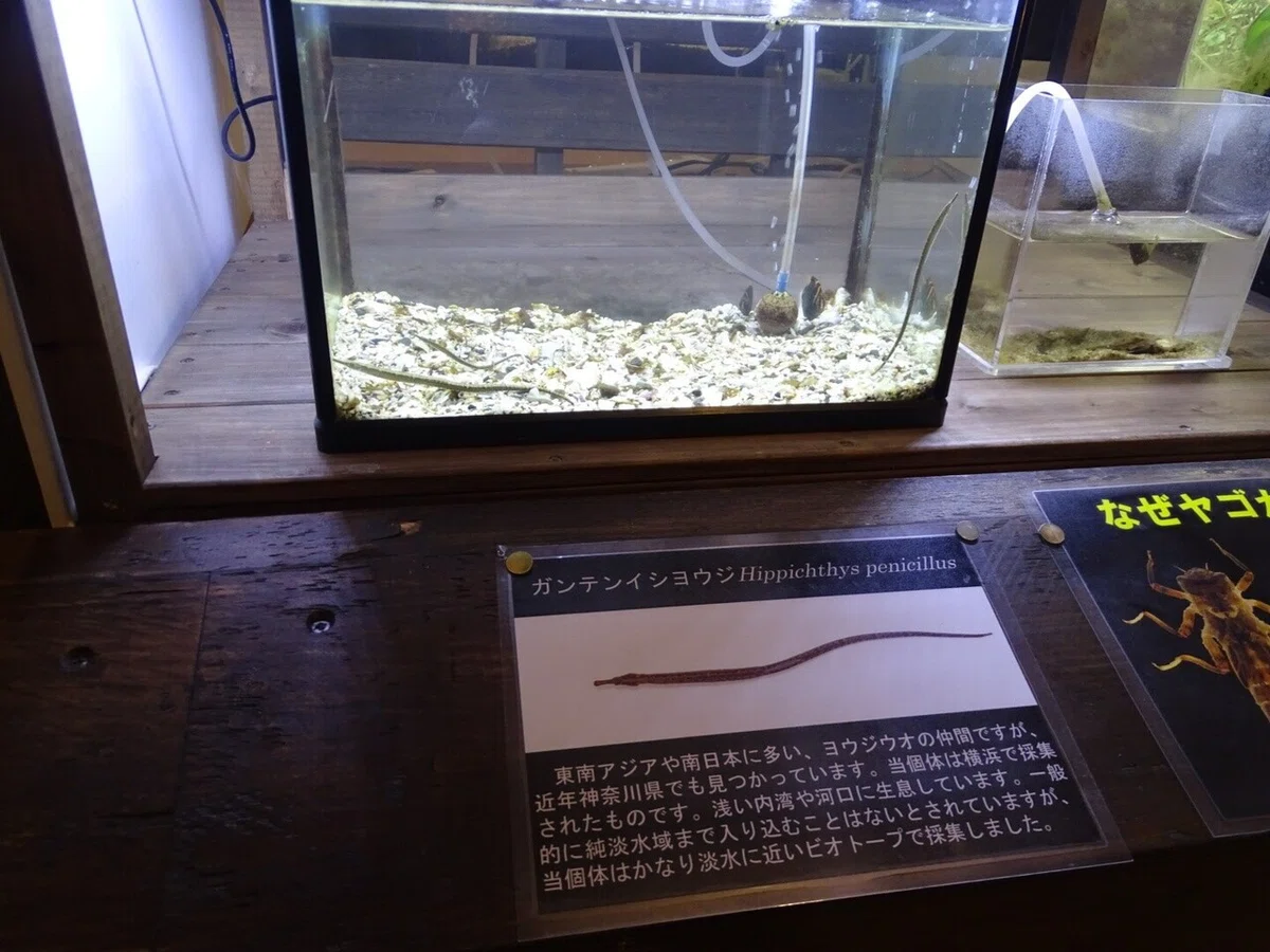 画像28
