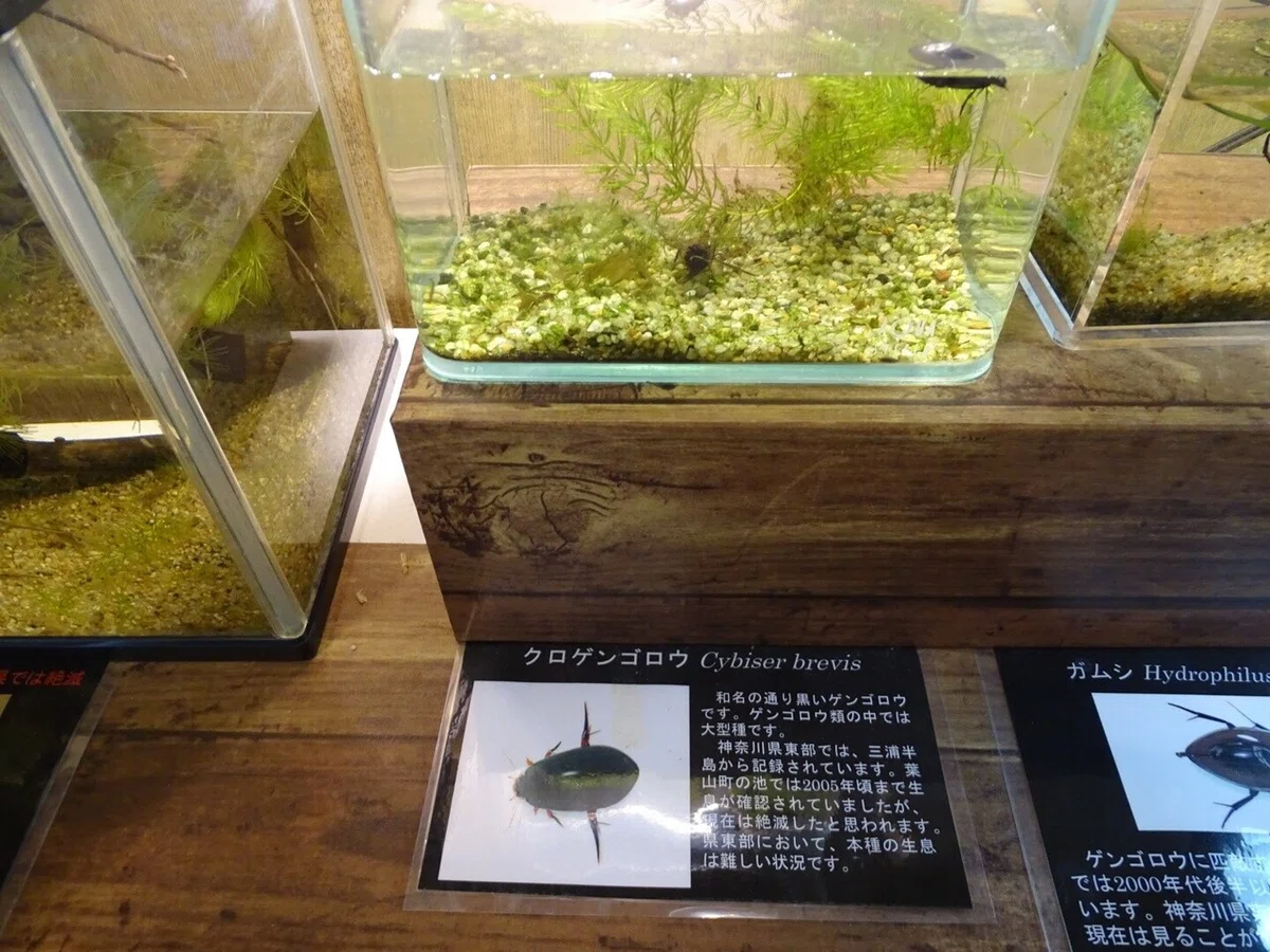 画像29