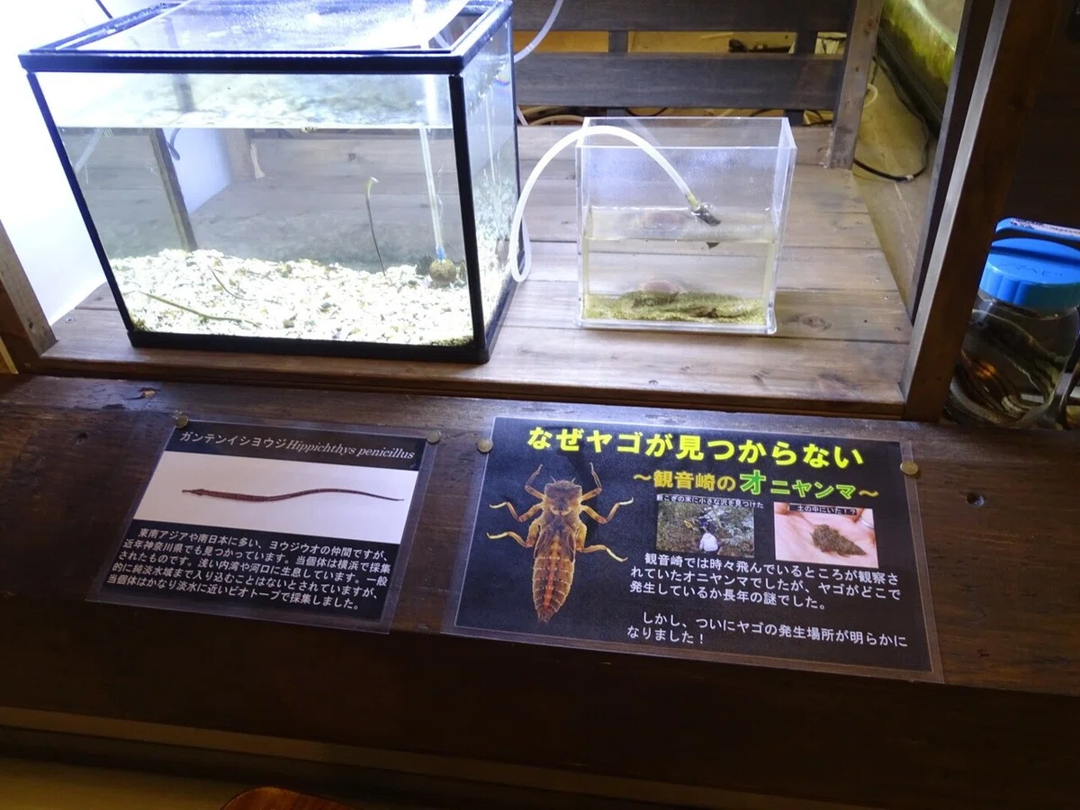 画像27