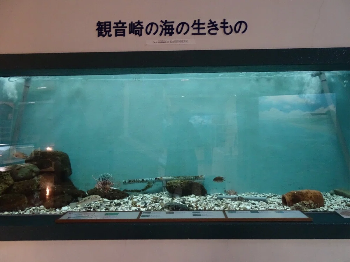 画像38