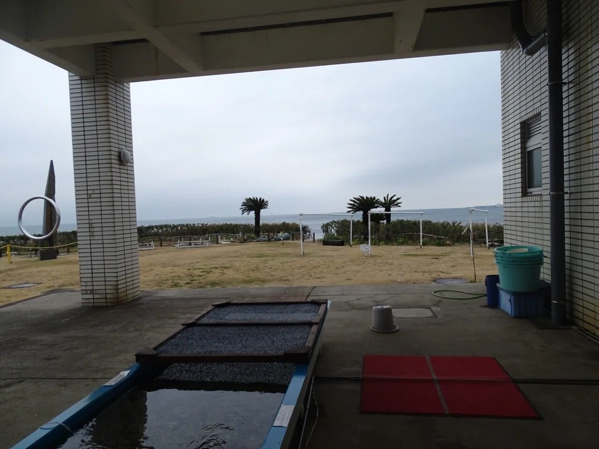 画像45