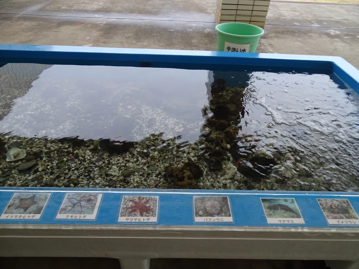 画像44